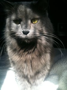 37617_418907629667_487334_n